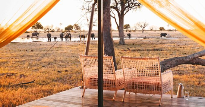 Pengalaman Mewah: Menyelami Keajaiban Eco-Safari di Afrika Selatan yang Wajib Didatangi!