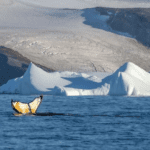 Aurora Expeditions Siap Bawa Petualangan Tak Terlupakan di Musim Antartika 2025/26!