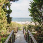 Rencana Liburan di Hamptons: Kembali ke Akar dengan Sentuhan Wellness Bersama Anak!