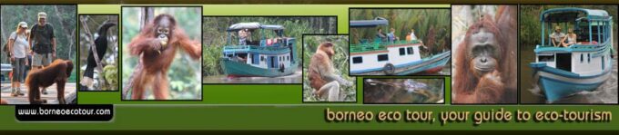 Rasakan Keajaiban Borneo Lestari Tour di Pangkalan Bun, Tengah Borneo – Temukan Keindahan Indonesia, Surga Nusantara!