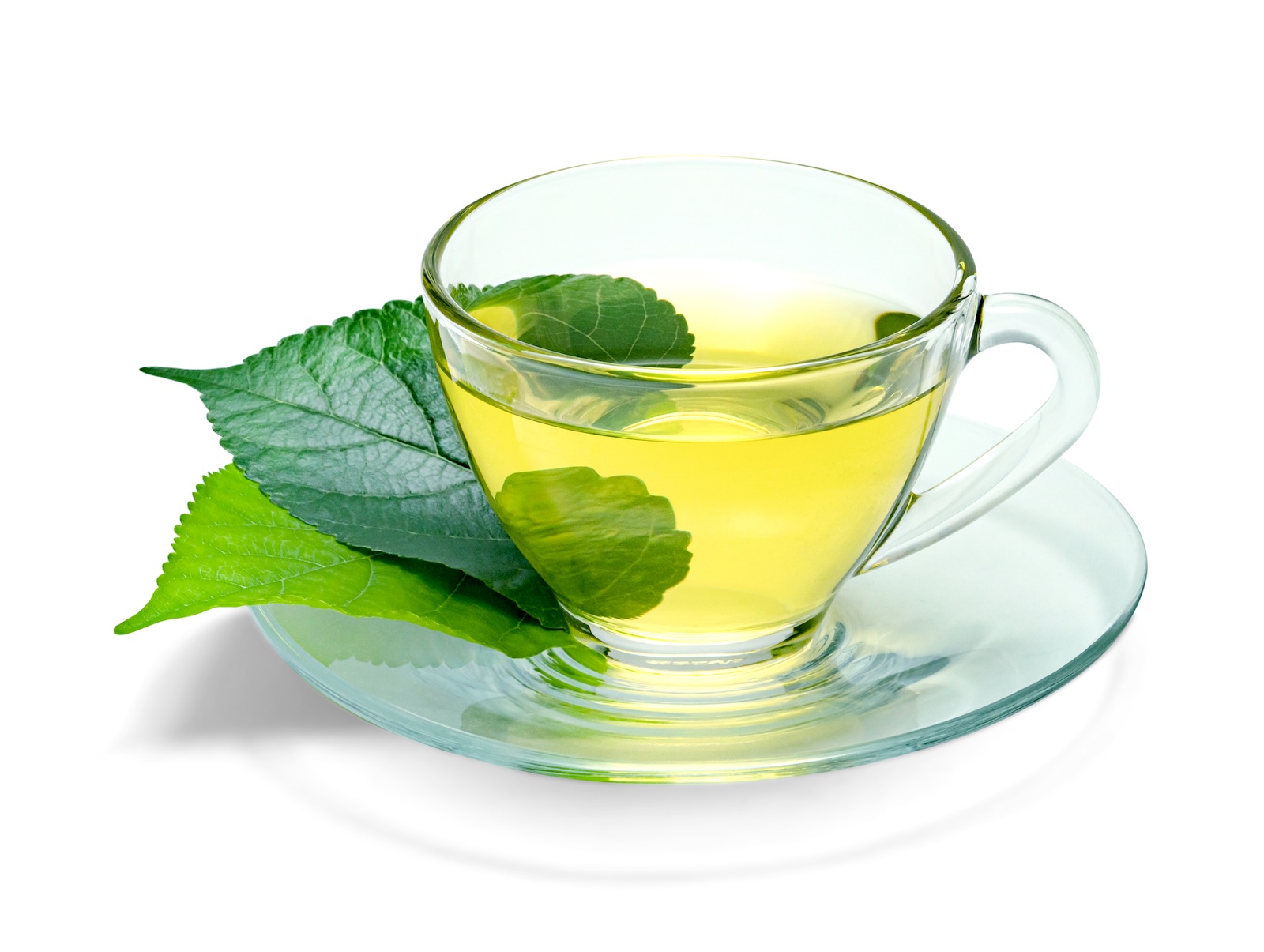 gyokuro-color_warat42-istock-1654403130.jpeg