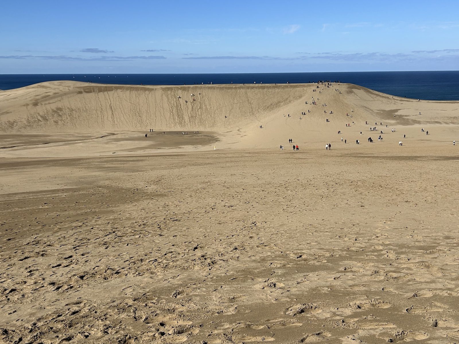 Menjelajahi Keajaiban Pasir: Duna dan Patung Pasir Tottori yang Instagrammable!