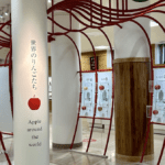Jelajahi Keindahan Hirosaki City Apple Park: Surga Buah yang Wajib Dikunjungi!