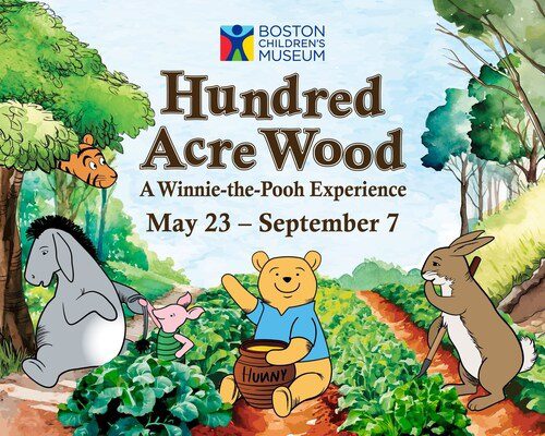 Museum Anak Boston Hadirkan Hundred Acre Wood: Pengalaman Seru Bersama Winnie-the-Pooh!
