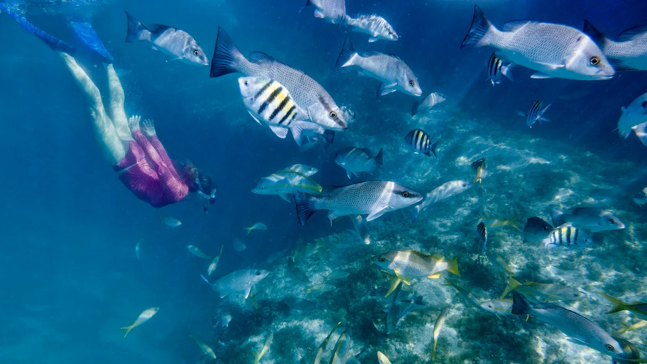 Pelajaran Berharga dari Scuba Diving dan Teknik Pernapasan: Cara Tetap Tenang di Bawah Tekanan!