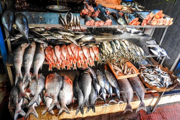 Loads of fish on a fish stall