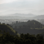 Di Uganda, Pesona Tak Hanya dari Gorila!