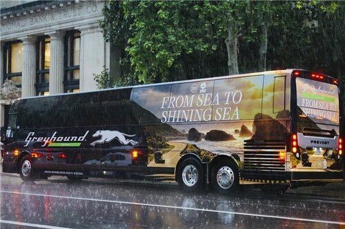 Greyhound Luncurkan “Armada Amerika 250” Rayakan Ulang Tahun Ke-250 Negeri Paman Sam!