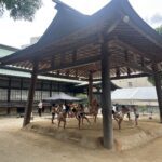 Rasakan Keseruan Sumo: Pengalaman Mendalam di Tokyo!