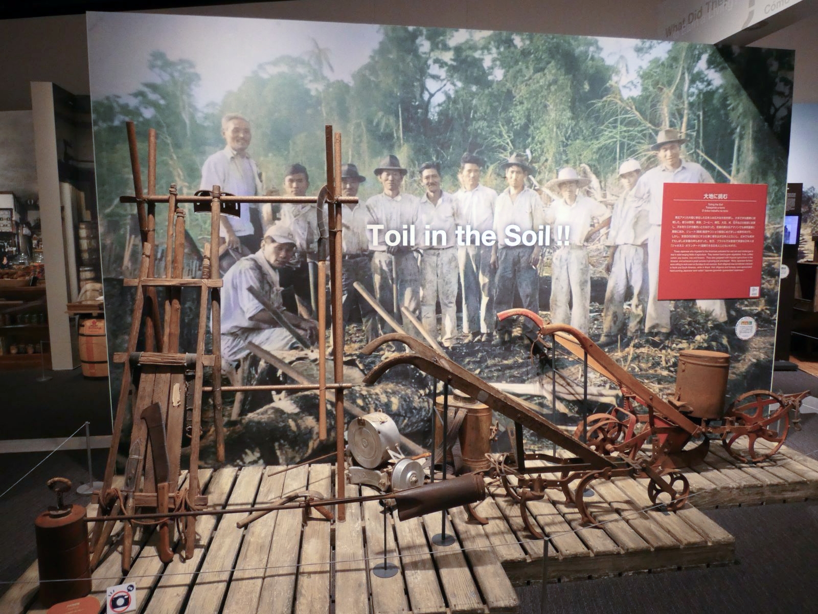 laura-payne---japanese-overseas-migration-museum-3.jpeg
