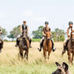 Menuju Petualangan Baru di Delta Okavango: Okavango Horse Safaris Luncurkan Retret Dipimpin Seniman!
