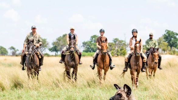 Menuju Petualangan Baru di Delta Okavango: Okavango Horse Safaris Luncurkan Retret Dipimpin Seniman!