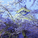 Menelusuri Jejak Sejarah: Nagahama Castle di Prefektur Shiga dan Kebangkitan Toyotomi Hideyoshi!