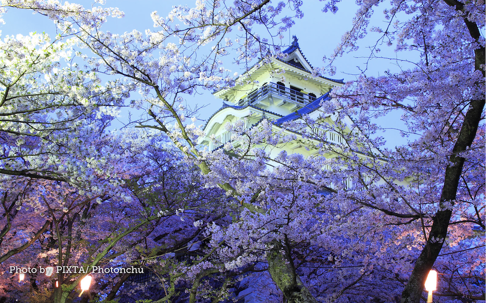 Menelusuri Jejak Sejarah: Nagahama Castle di Prefektur Shiga dan Kebangkitan Toyotomi Hideyoshi!
