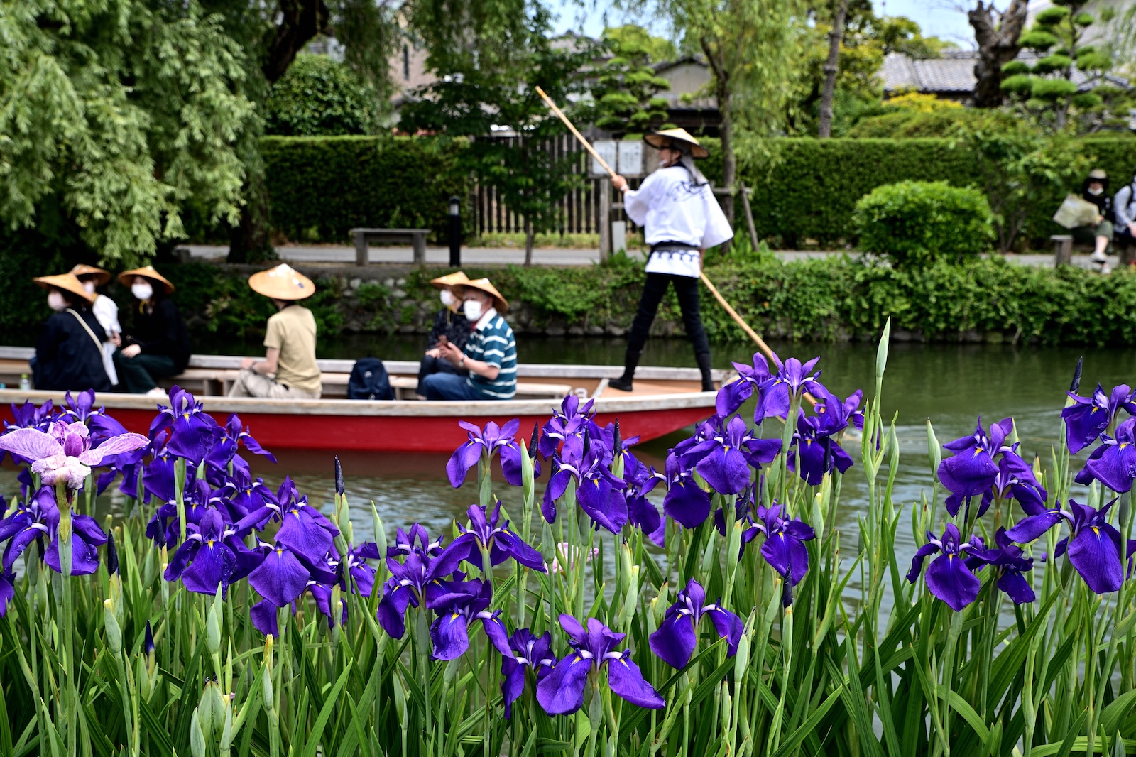 yanagawa-irises_j6hql-pixta_90247614_m.jpeg
