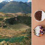 Nikmati Pengalaman Kuliner Langka di Mil, Terinspirasi dari Tradisi Kuno di Lembah Suci Peru!