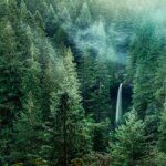 Ke mana Sih Twilight Digarap? Nongkrong Yuk di Forks, Washington dan Lokasi Syuting Menarik Lainnya!