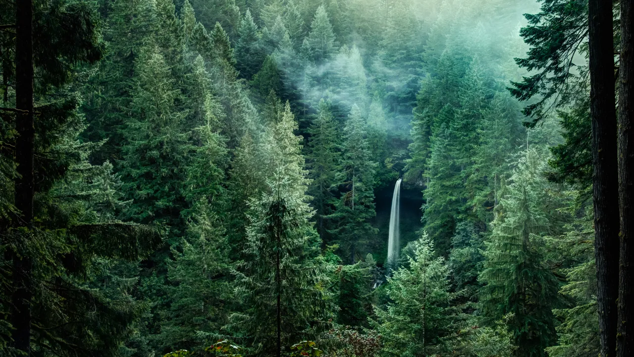 Ke mana Sih Twilight Digarap? Nongkrong Yuk di Forks, Washington dan Lokasi Syuting Menarik Lainnya!
