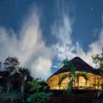 Menelusuri Retreat Ayahuasca: Pengalaman Sejati dan Cara Memilih yang Tepat!