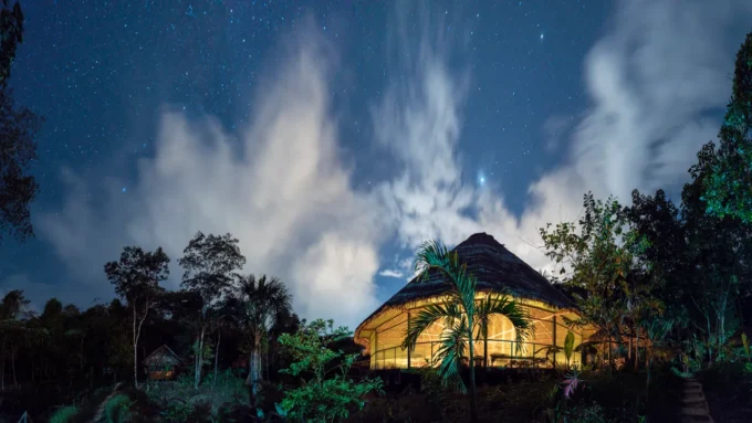 Menelusuri Retreat Ayahuasca: Pengalaman Sejati dan Cara Memilih yang Tepat!