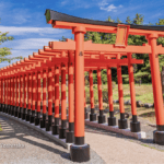 Menelusuri Serpihan Kecantikan: Takayama Inari Shrine di Aomori, Surga Ratusan Gerbang Torii yang Menari Seperti Naga