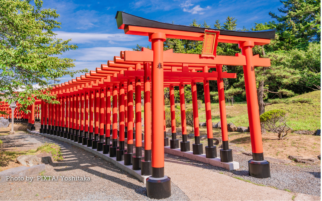 Menelusuri Serpihan Kecantikan: Takayama Inari Shrine di Aomori, Surga Ratusan Gerbang Torii yang Menari Seperti Naga