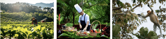 'Skillcations' YTL Hotels: Liburan Berkelas dengan Sentuhan Keahlian di Seluruh Malaysia!
