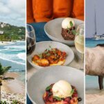Temukan Aktivitas Seru di Barbados, Tempat Menginap, dan Kuliner yang Wajib Coba!