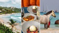 Temukan Aktivitas Seru di Barbados, Tempat Menginap, dan Kuliner yang Wajib Coba!