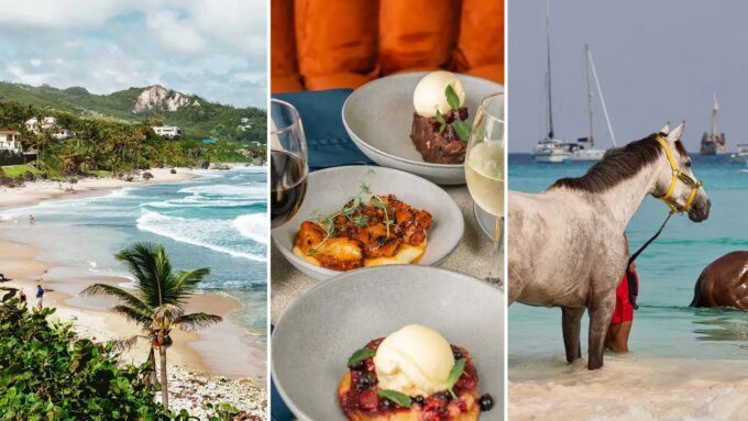 Temukan Aktivitas Seru di Barbados, Tempat Menginap, dan Kuliner yang Wajib Coba!
