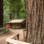 Hotel Terbaik di Big Sur untuk Liburan Santai Tanpa Gangguan!