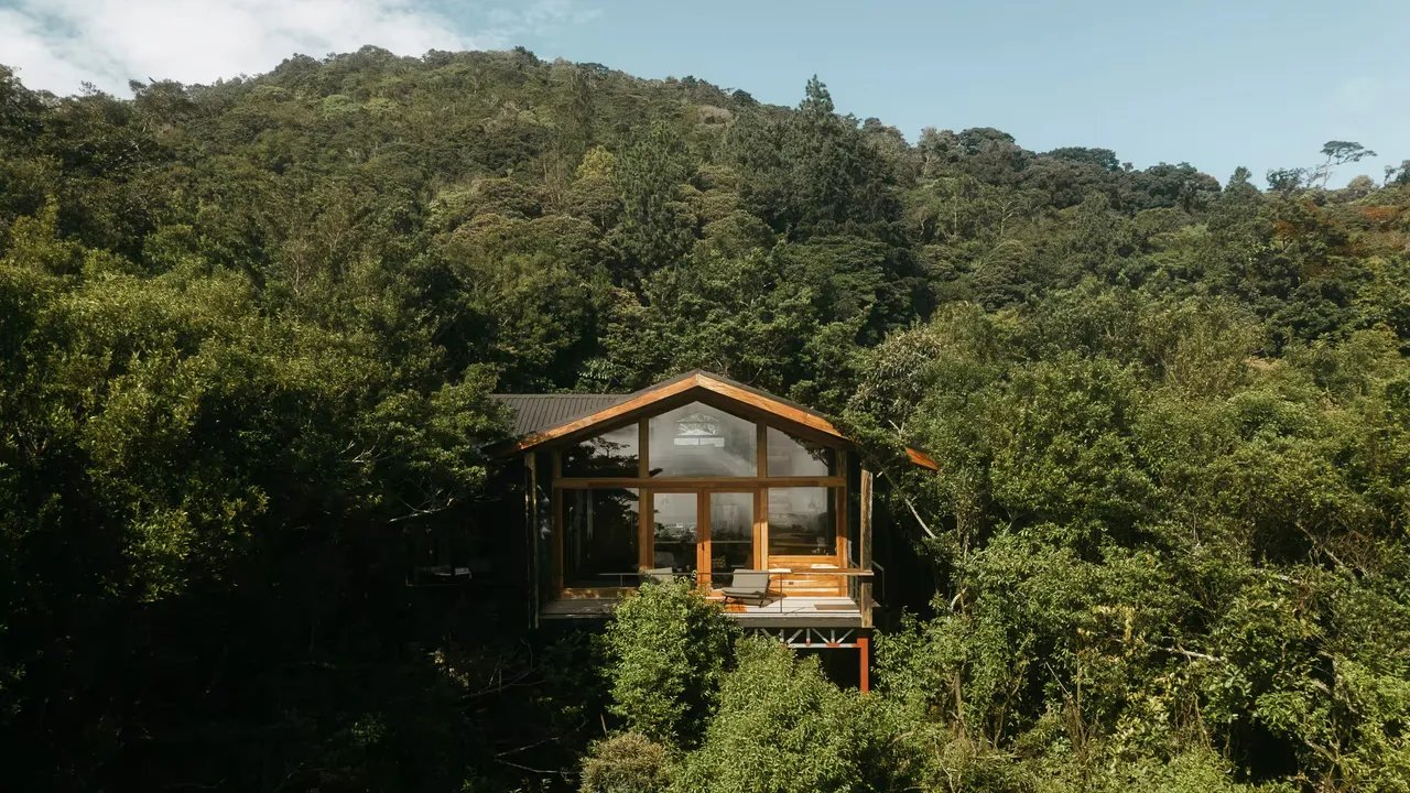 Menginap di Antara Pepohonan: 5 Tree House Airbnb Terindah di Seluruh Dunia!