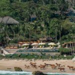 Jelajahi Retreat Terapi Kuda di Indonesia: Biarkan Kuda Menggali Perasaan Lama yang Tersembunyi!