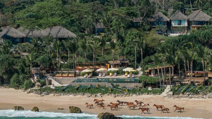 Jelajahi Retreat Terapi Kuda di Indonesia: Biarkan Kuda Menggali Perasaan Lama yang Tersembunyi!