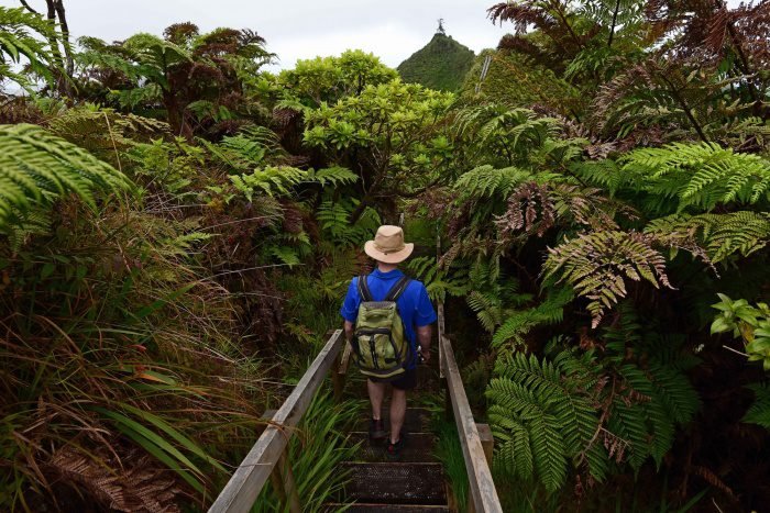 St Helena Mengajak Wisatawan untuk ‘Datang dan Temukan Saya’ di Pusat Sorotan Pariwisata!
