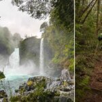 Jelajahi Hutan Hujan Patagonia Chile: Tantangan Seru di Retreat Trail Running yang Memacu Adrenalin!