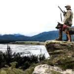 Menjelajahi Keindahan Tersembunyi: Pulau Selatan Selandia Baru Jadi Alternatif Menarik Alaska!