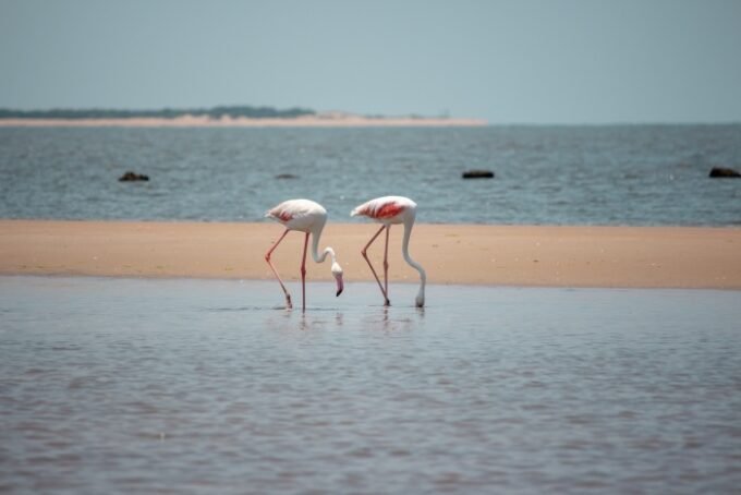 Mozambique Siap Sambut Wisatawan Inggris: Pertumbuhan Pariwisata Melesat Menuju 2027!
