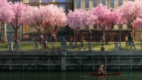 'Wildwood': Surga untuk Para Pecinta Portland, Oregon!