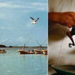 Sehari Berpetualang di Laut Bersama Penangkap Gurita Yucatán!